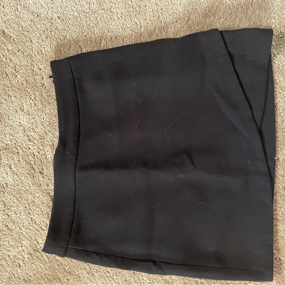 Aritzia Wilfred skirt